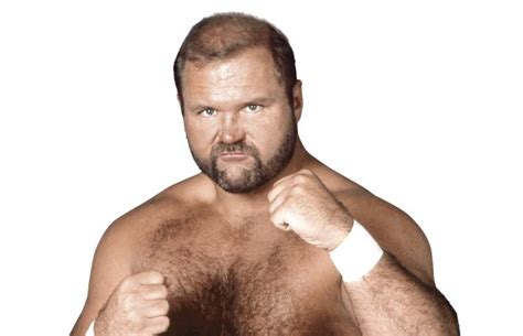 Arn Anderson Fired From Wwe For Allowing Alicia Fox To Wrestle While