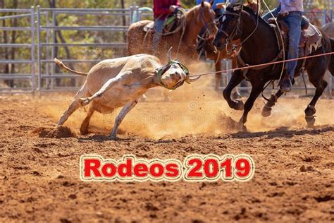 Rodeos 2019 Text Australian Team Calf Roping Rodeo Event Editorial