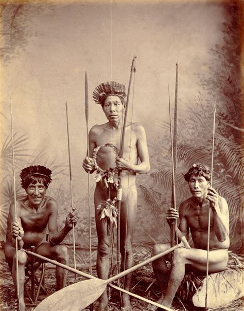 indigenous peoples of the caribbean siboney locono gallabi ineri taino puerto rican