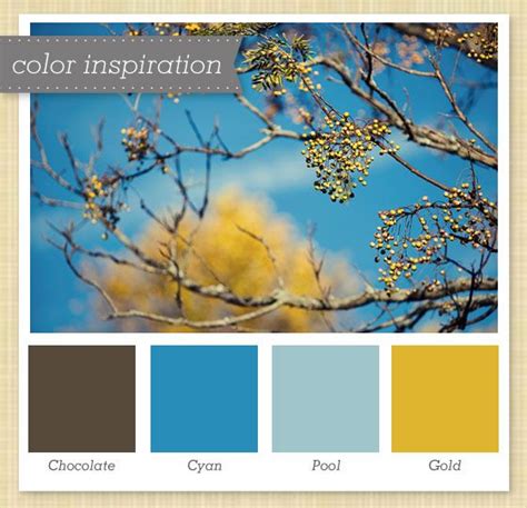 Brown Blue And Gold Color Palette Brown Color Schemes Blue Color