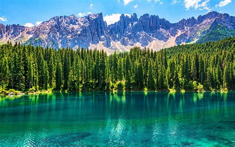 Lake Carezza Summer Beautiful Nature Alpine Lakes Dolomites