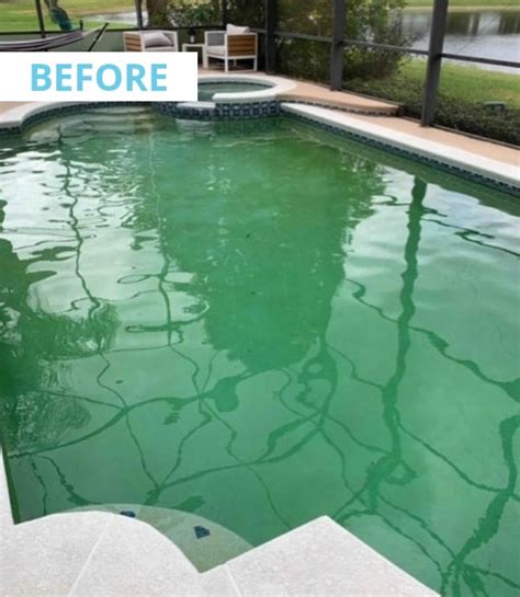 Too much algae causing your pool to turn green? From green to great: How to clean a green swimming pool ...