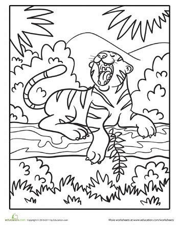 Jungle Tiger Worksheet Education Com Jungle Coloring Pages