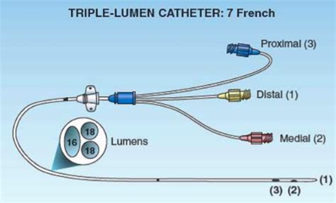 Triple Lumen Catheter Port Colors