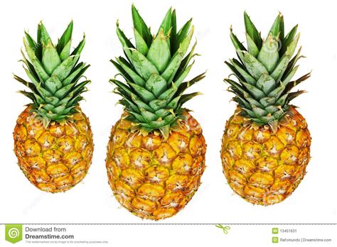Three Pineapples Isolated On White Stock Image - Image of isolated, vitamin: 13451631