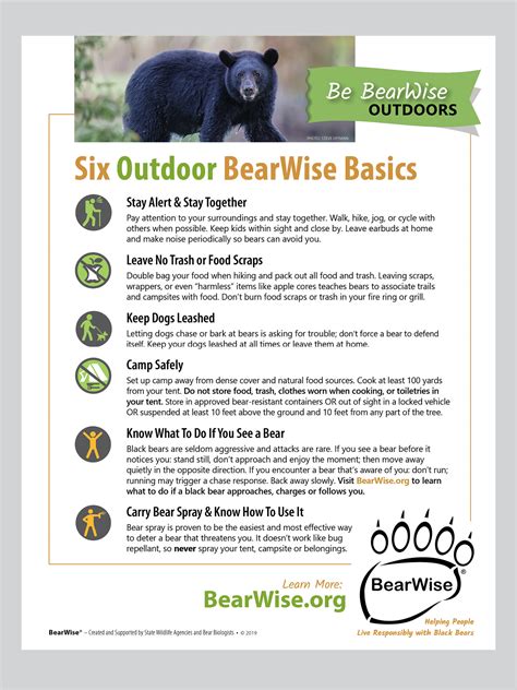 Be Bearwise With These Bear Safety Tips At Home And When Outdoors