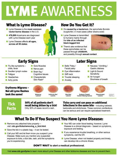 Health Plus Report Details Lyme Challenges And Proposes Solutions