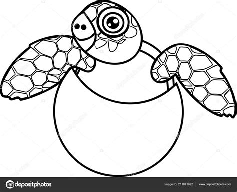 Dibujos De Tortuga Para Colorear Para Colorear