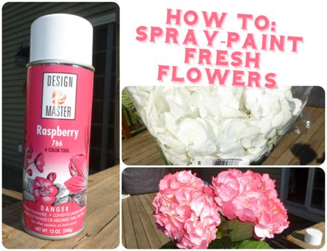 How To Spray Paint Flowers Spray Paint Flowers Floral Spray Paint