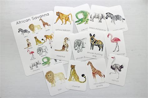 African Savanna Animal Printable Flashcards And Poster Etsy Uk