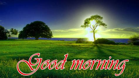 326 Beautiful Sceneries Nature With Good Morning Images Pics Hd Good