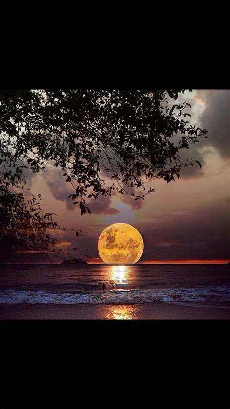Moon Pictures Nature Pictures Pretty Pictures Moon Pics Beautiful