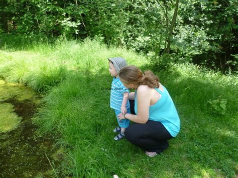 Der botanische garten befindet sich nach ca 1,5 km auf der rechten seite. botanischer-garten-chemnitz-5