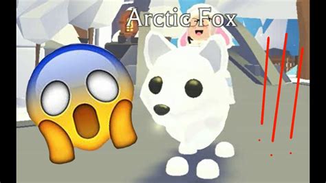 Трейды на Arctic Fox Adopt Me Roblox Sofia Star Youtube