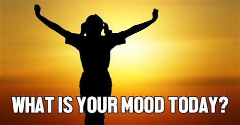 Anything and everything i can get my hands on. What Is Your Mood Today? | QuizLady