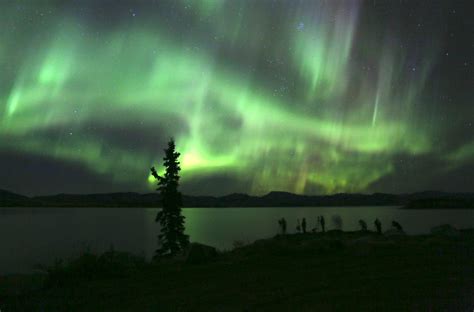 Aurora Borealis Viewing In Yukon Canada Wilderness Yukon