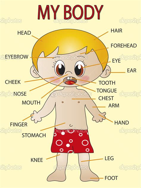 Body Parts Clipart Clipart Bay