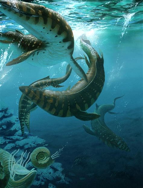 Mosasaur Extinct Marine Reptile Photograph By Jaime