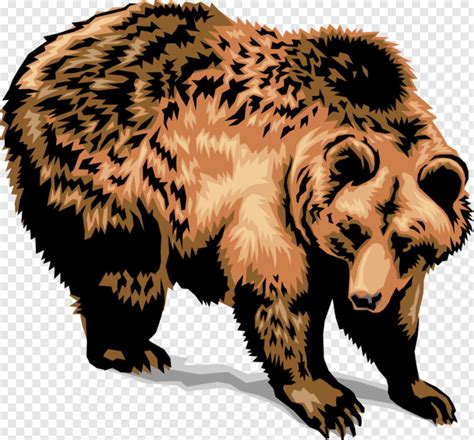 Smokey The Bear Bear Face Black Bear Grizzly Bear Cute Bear Bear