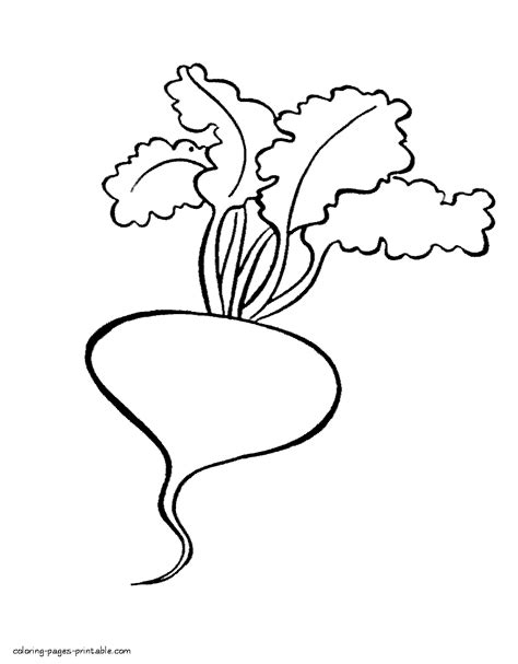 Vegetables may get a bad rap, but they're full of fiber and vitamins that help a body grow strong. Preschool coloring book. Beet vegetable || COLORING-PAGES ...