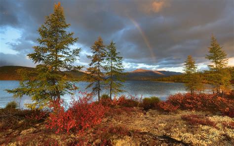 Rainbow Over Autumn Wallpapers Wallpaper Cave