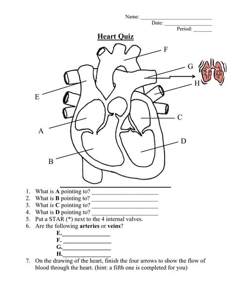Heart Diagram Quiz