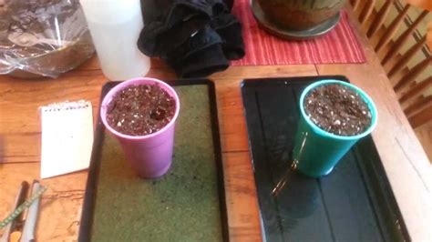 See more ideas about play mat diy, play mat, playmat. February 8th 2013 Garden window update, moisture wicking ...