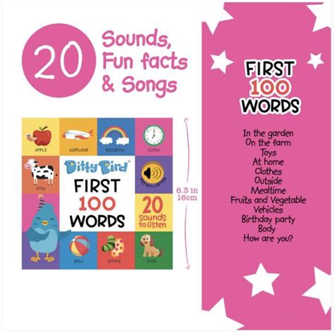 Ditty Bird 100 First Words Animals Places Hobbies And Toys Books