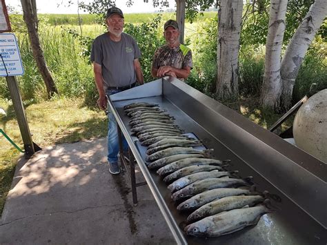Final Fishing Report Saginaw Bay 8/04/22 Out of AuGres