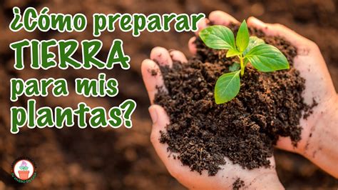 Como Preparar La Tierra Para Sembrar Plantas Colombia Verde