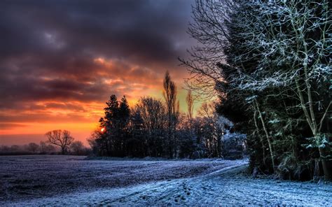 Winter Sunset Hd Wallpaper Background Image 1920x1200