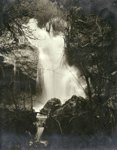 Waterfall In Muir Woods Circa 1910 Photograph — Calisphere