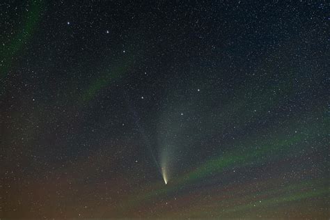 Comet Neowise In Ursa Major Photograph By Alan Dyer