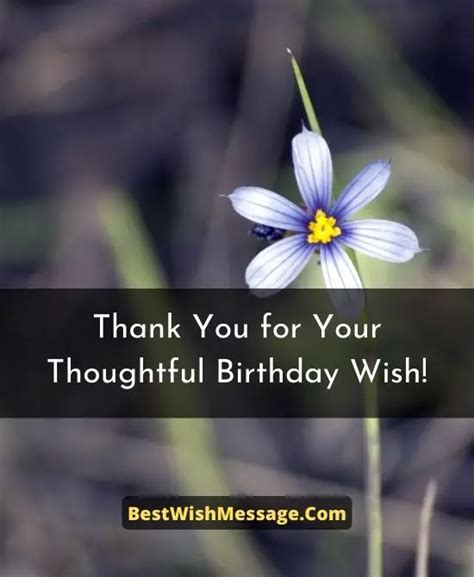 70 Emotional Thank You Messages For Birthday Wishes For All