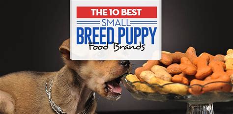 The best dog food for puppies is food that is packed with nutrients and specially formulated for puppies. 10 Best Small Breed Puppy Foods | Puppy food brands, Puppy ...