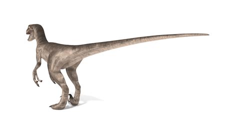 Velociraptor Blender V Multi Model Turbosquid 1596131
