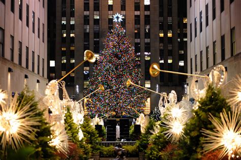 El Famoso árbol De Navidad Del Rockefeller Center Ya Está Camino A