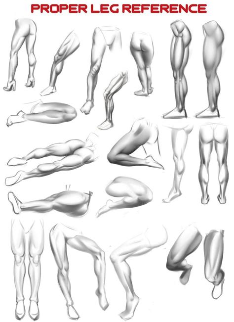 Image Result For Female Legs Reference Leg Reference Anatomy Drawing
