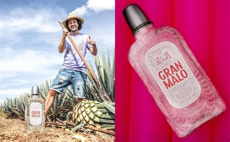 Gran Malo Luisito Comunica Presenta Su Tequila Sabor Tamarindo