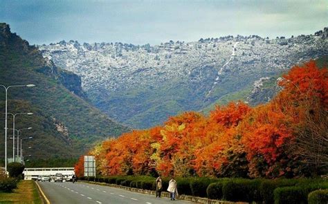 Lambir hills national park covers an area of 6,949 hectares and was granted national park status in 1975. CDA vows to bring beauty back to Margalla Hills National ...