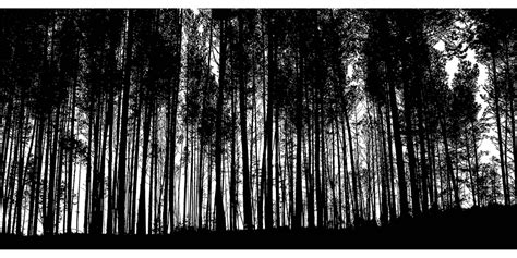 Forest Trees Silhouette Free Vector Graphic On Pixabay