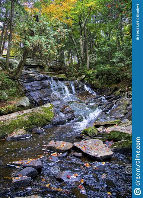 Forest Autumn Landscape Beautiful Stream In The Forest With Autumn