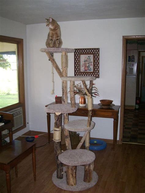 17 Best Images About Cat Trees On Pinterest Homemade