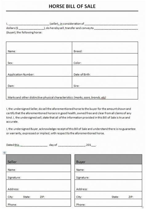 Professional Horse Bill Of Sale Template Doc Example In 2021 Bill Of
