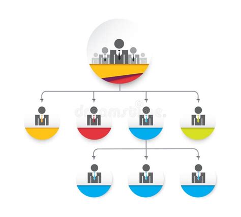 Organisation Chart Corporate Relation Chart Org Tree Vector Stock