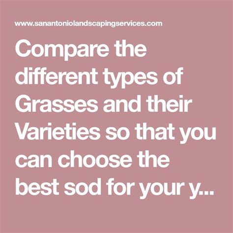 Compare The Different Types Of Grasses And Their Varieties So That You