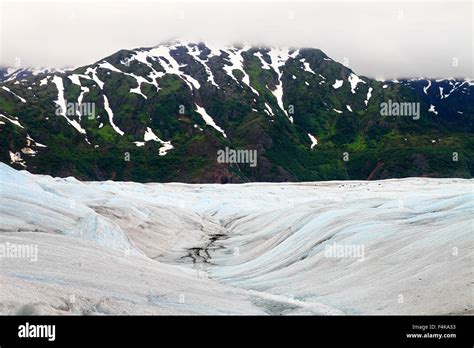 Mendenhall Glacier Trek In The Tongass National Forest Alaska Stock
