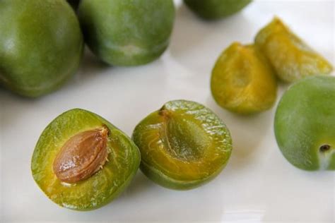 Introducing Greengage Plums And Things To Do With Them Plum Ice Cream