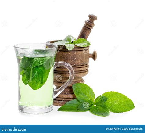 Mint Tea With Fresh Mint Leaves Stock Photo Image Of Leaves Leaf