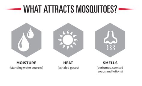 The 20 Worst Us Cities For Mosquitos Architect Magazine